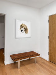 Human's Best Friend III