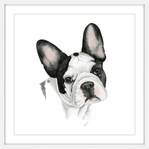 Human's Best Friend IV