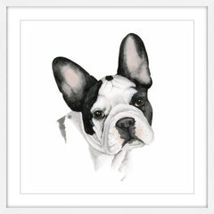 Human's Best Friend IV
