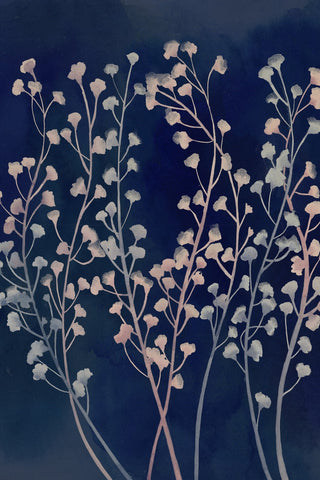 Midnight Haze I