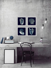 All About Shells Quadriptych