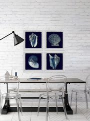 All About Shells Quadriptych