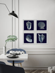 All About Shells Quadriptych