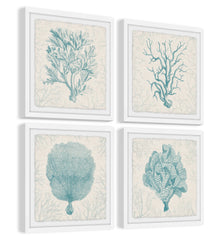 Coral Group Quadriptych