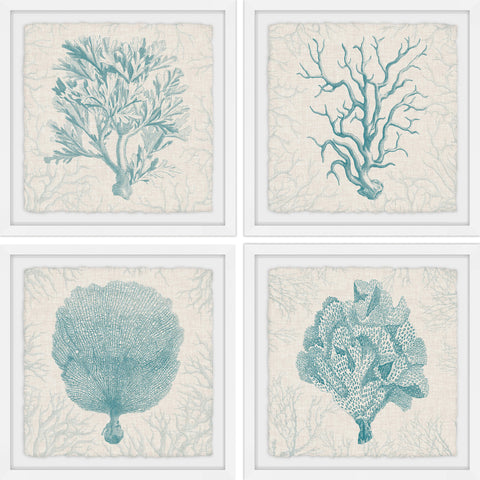 Coral Group Quadriptych