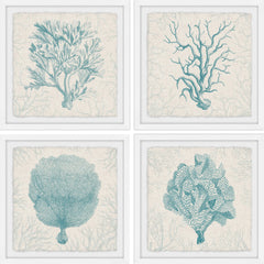 Coral Group Quadriptych