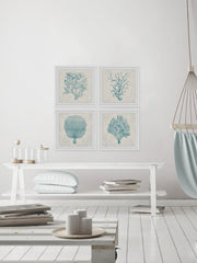 Coral Group Quadriptych