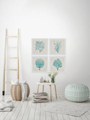 Coral Group Quadriptych