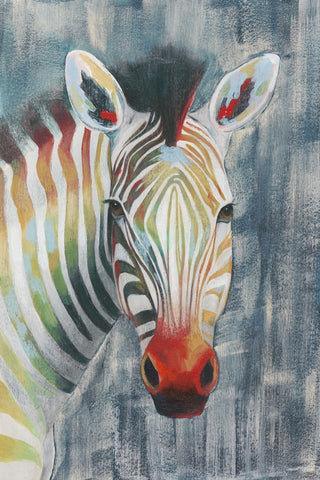 Prism Zebra I