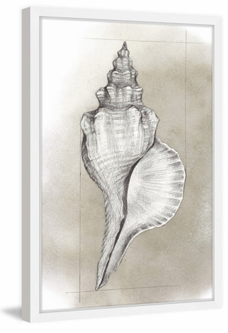 Shell Diagram I