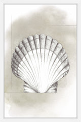 Shell Diagram II