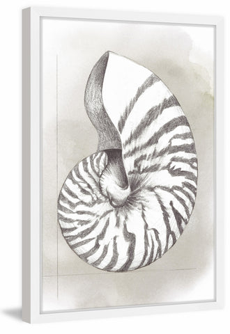 Shell Diagram III