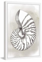 Shell Diagram III