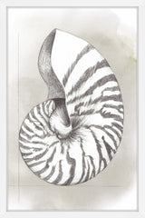 Shell Diagram III