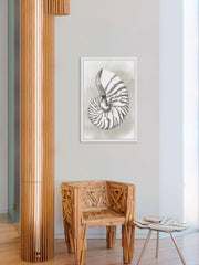 Shell Diagram III