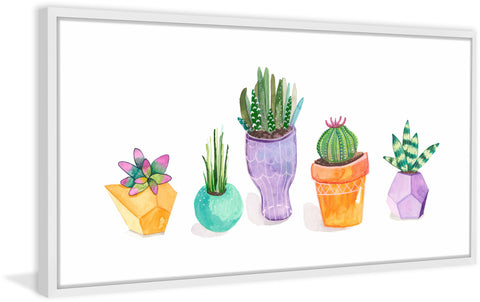 Succulent Display II