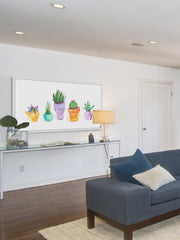 Succulent Display II