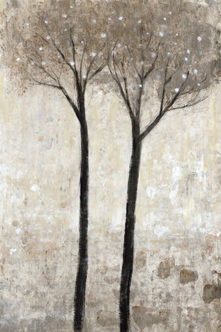 Tall Trees Bloom