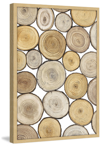 Tree Ring Study I