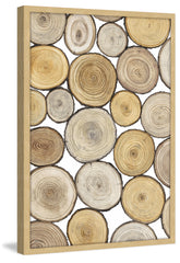 Tree Ring Study I