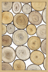 Tree Ring Study I