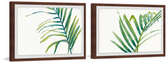 Palm Wonderful VII Diptych