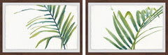 Palm Wonderful VII Diptych