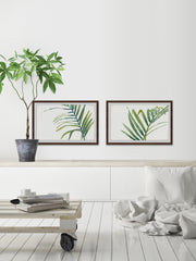 Palm Wonderful VII Diptych