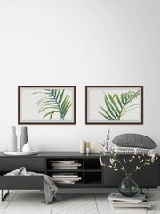 Palm Wonderful VII Diptych