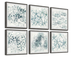 Stars of the Sea Hexaptych