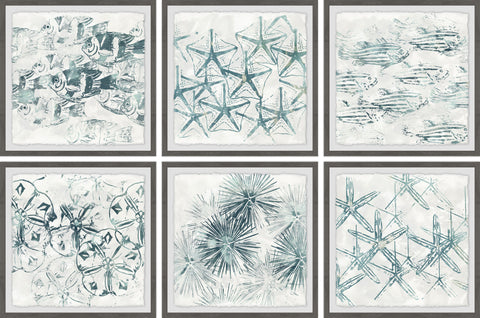 Stars of the Sea Hexaptych