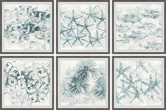 Stars of the Sea Hexaptych