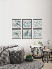 Stars of the Sea Hexaptych