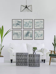 Stars of the Sea Hexaptych