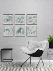 Stars of the Sea Hexaptych