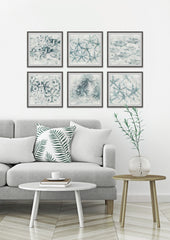 Stars of the Sea Hexaptych