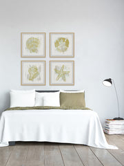 Golden Sea Treasures Quadriptych