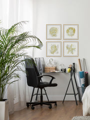 Golden Sea Treasures Quadriptych