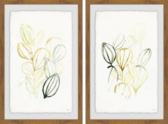Seed Spectrum III Diptych