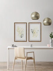 Seed Spectrum III Diptych