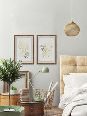 Seed Spectrum III Diptych