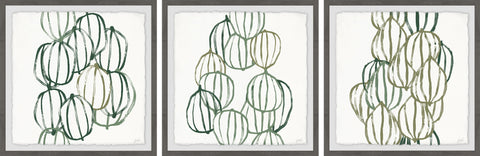 Seed Vessels IV Triptych