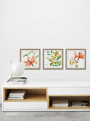 Orange Bloom Triptych