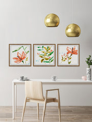 Orange Bloom Triptych