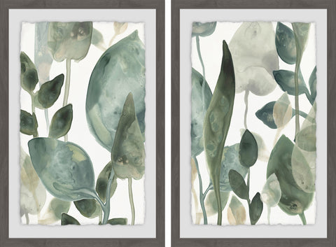 Water Leaves VI Diptych
