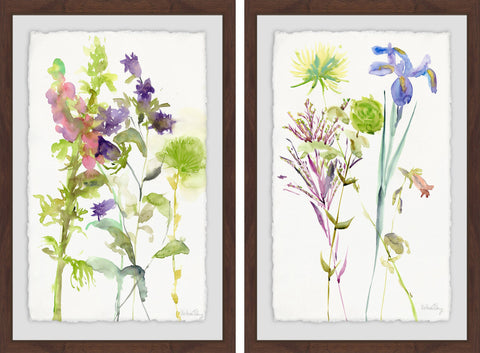 Watercolor Floral Study III Diptych