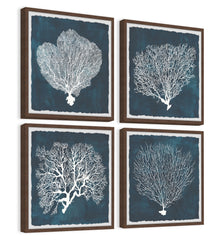 Inverse Sea Fan V Quadriptych