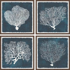 Inverse Sea Fan V Quadriptych