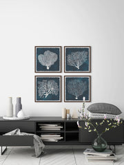 Inverse Sea Fan V Quadriptych