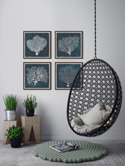 Inverse Sea Fan V Quadriptych